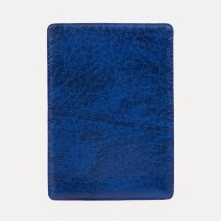 Cover for travel ticket, blue color