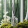 The aromatic "Artdecor" diffuser, 100 ml, jasmine, "wealth of aroma"