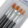 Set of Calligrata brushes synthetics 5 pieces (round No. 1, 2, 3, flat No. 5, 8), with wooden handles