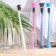 Toothbrush, soft, mix