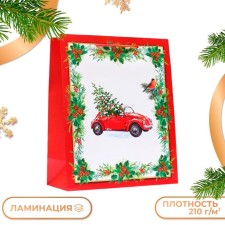 Gift package 