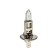 Car lamp Narva Standard, H1, 12 V, 55 W