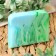 SPA soap - care for the bath and sauna "Eucalypt" Dobroparov Handmade 80 grams