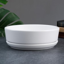 Pot of the Bonsian 