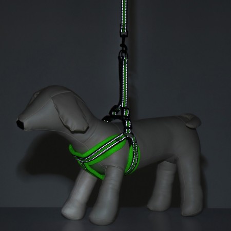The ammunition set is soft, reflective, leash 120 x 1.5 cm, Osh 35-53 cm, yellow-9