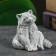 Souvenir "raccoon" mix