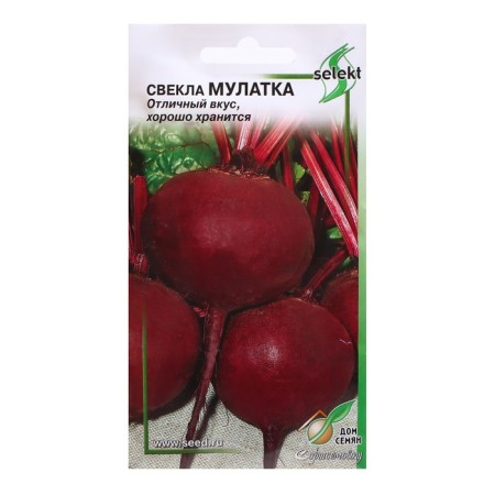 Beets "Mulatto", 120 pcs