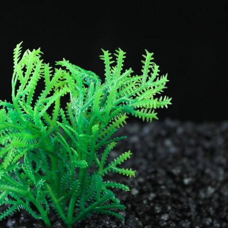 The plant is artificial aquarium, up to 9 cm-1