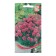 Flowers of Armeria "Great", 50 pcs