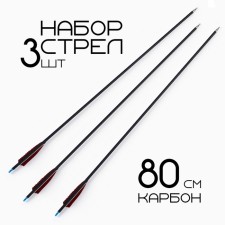 A set of arrow for onions 3 pcs, carbon, black, plumage - red, 80 cm