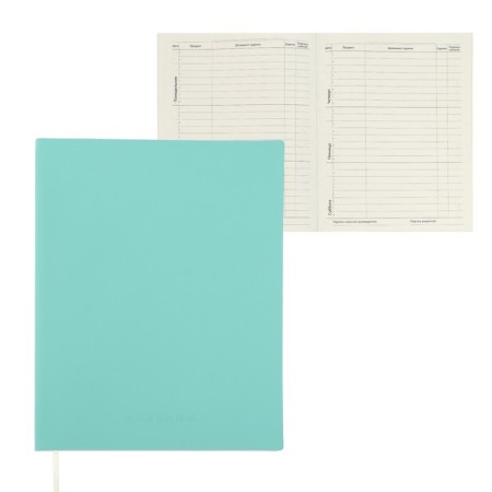 Universal diary for grade 1-11 Minty Soft Touch, soft cover, artificial leather, lies, 80 g/m2