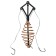 Carp tackle "Neptune", mix