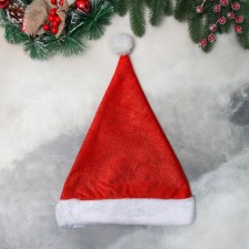 COALP New Year's 