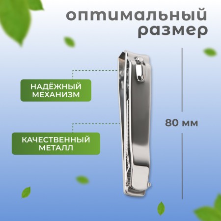 Kusachki - Pedicier, with a file, 8 cm, on a blister, silver color.-1