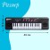 Children's “keyboard player” synthesizer, sound effects, 32 keys
