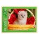 Puzzles "kitten in flowers No. 3", 104 elements