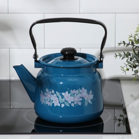 Kettle, 2.3 l, enameled cover, induction, blue color-4