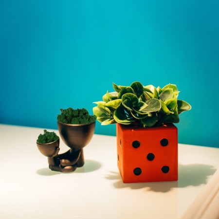 Concrete Kashpo "Player bone" with Moss red with black 7x7x7 cm (moss green stabilizir)-5