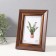 Photo frame Plastic 10x15 cm "Violett" Brown with a gold stripe 1.5x14.4x19.4 cm