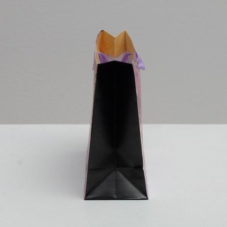 Gift Laminated Horizontal Package, packaging, Special for You, 22 x 17.5 x 8 cm-3