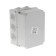 Distribution box Ural Pak, 190x140x120, IP 55, 10 VX, gray, KO-65027190-012