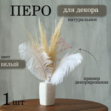 Feather for decor, size: 25-30 cm, white color