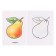 Coloring "Fruits"