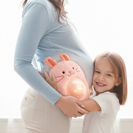 Musical toy for newborn Hape "Rabbit"-3