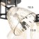 Chandelier "Charlene" 5he27 40w Black 60x60x27 cm Bayerlux