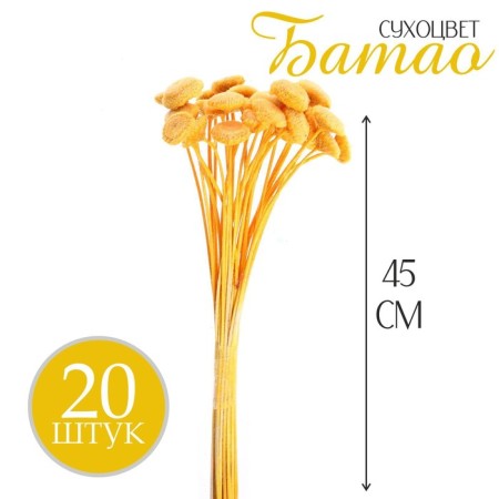 Sukhotzet "Batao" set 20 pcs., Yellow color-1