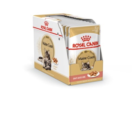 Wet feed RC Main Coon Saon, 85 g-3