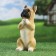 Garden figure "Begging Bulldog" 10x11x20cm