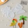 Silicone Mold for Collance and Chocolate "Beach Mix", the color is transparent