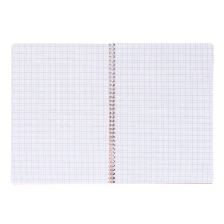 Notebook on the crest A4 48 sheets in the Calligrata cell orange, plastic cover, offset block-1