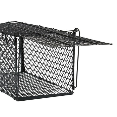 Rat, 36 × 17 × 17 cm, metal, Greengo-3