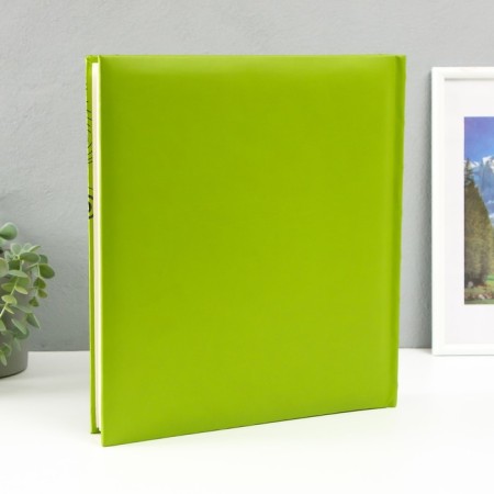 Photo album 29x32 cm. 30 sheets, "Rest" of Crust-I. leather-1