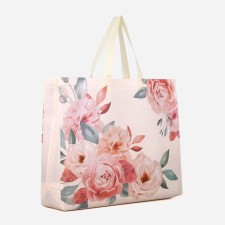 Household bag without fastening, beige color