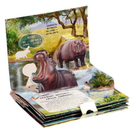 Set "Pocket Pop-up Encyclopedia", set No. 2-9