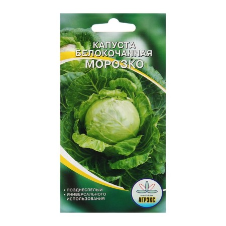 Cabbage Cabbage seeds "Morozko", 0.3 g