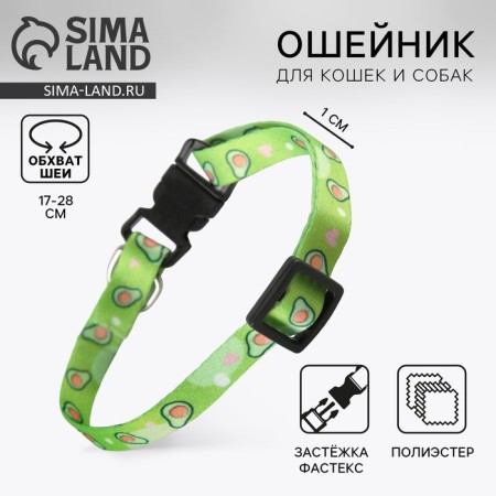 A collar for dogs and cats with Fasteks "Avocado", 30x1 cm