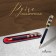 Gift handle, ballpoint "luxury" in a plastic case, rotary, black with golden inserts