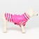 A jacket for dogs with shutters, size 2 (ds 23, Osh 26, OG 33 cm), pink