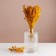 Set of dried flowers "chandra", banch length 30 (+/- 6 cm), yellow