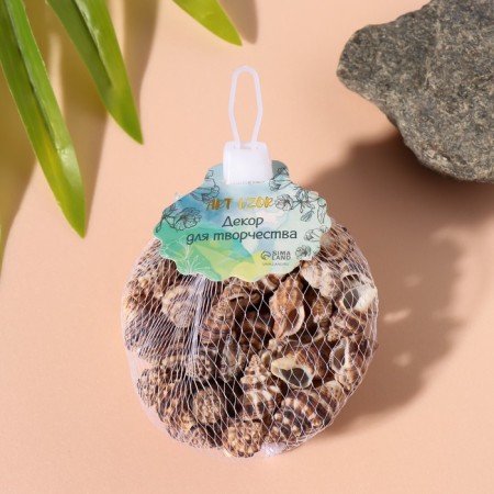Natural decorative shells "Zebra" set 100 grams-3