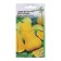 Muscular pumpkin seeds "Matilda" Select, 10 pcs