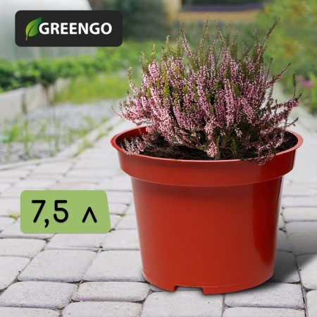 Pot for seedlings, 7.5 l, d = 25.5 cm, h = 20.5 cm, terracotta, Greengo