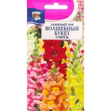 Flower seeds lion pharynx 
