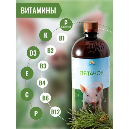Additive with coniferous concentrate, for feed, 900 ml, "Piglet"-3