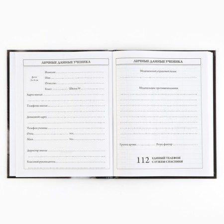 School diary 5-11 grade, in a solid cover, 48 liters. "Humility"-2