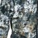 Demisyazon men's Forester, color 128-7, height 170-176, size 44-46